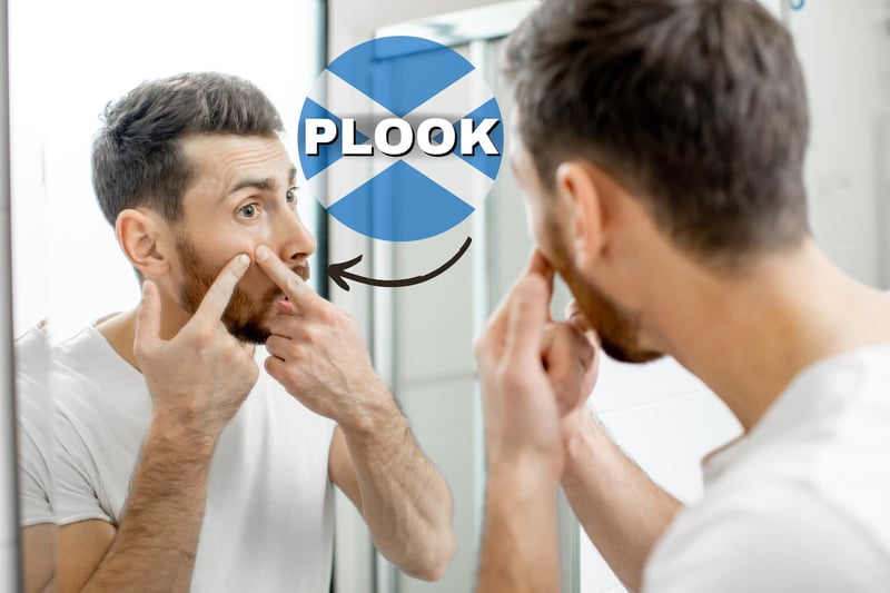 The Scots Language Centre tells us that a plook is a “pimple, boil or a swelling”. It is thought to come from the Middle English “plouke” which also refers to a pustule. It also seems like onomatopoeia for the noise produced when you pop one (too far?)