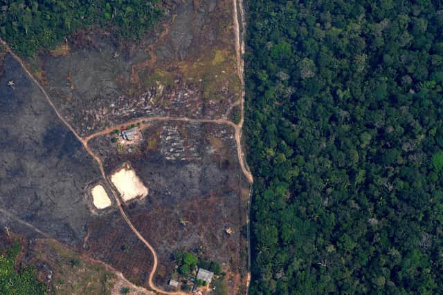 An aerial picture showing a deforested piece of land in the Amazon rainforest near an area affected by fires, about 65km from Porto Velho, in the state of Rondonia, northern Brazil (Picture: Carl de Souza/AFP via Getty Images)