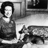 Queen Elizabeth II posing with one of her beloved Corgi dogs.