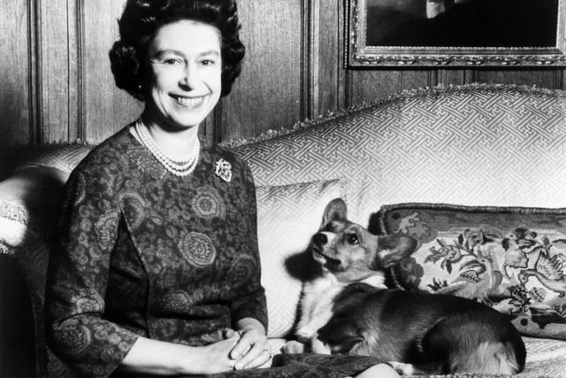 Queen Elizabeth II posing with one of her beloved Corgi dogs.