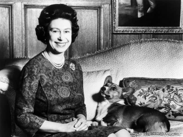 Queen Elizabeth II posing with one of her beloved Corgi dogs.