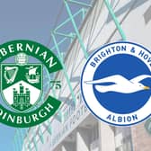 Hibs and Brighton have agreed a strategic partnership