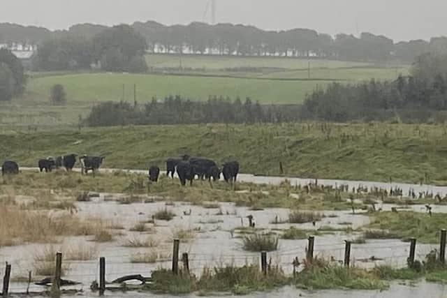 Storm Babet wreaked havoc on the east coast of Scotland causing widespread damage to farmland and claiming the lives of three people and livestock (pic: RSABI)