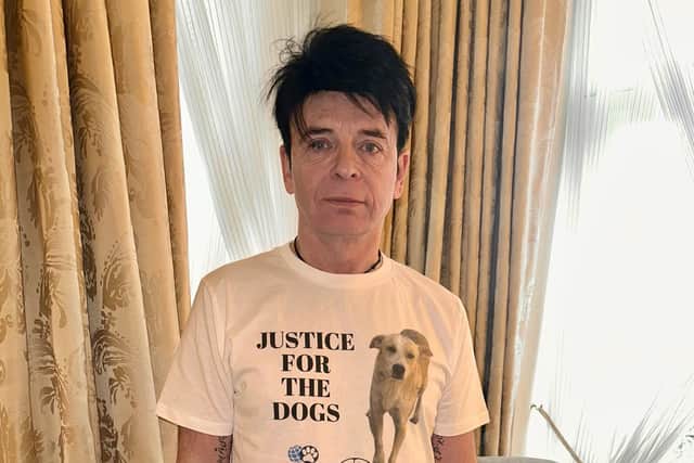 Gary Numan is speaking out for the World Cup dogs of Morocco - Animal News Agency