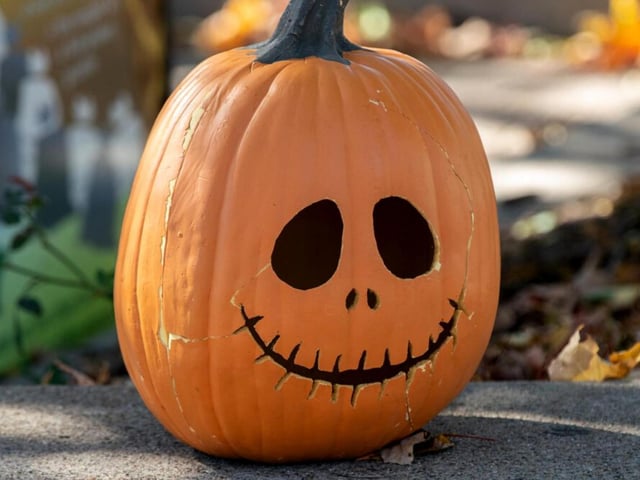The Nightmare Before Christmas was released in 1993 and it instantly became a Halloween movie classic. To this day we fondly remember characters like Jack Skellington, so why not pay homage? If you're willing to invest time into a more detailed face carving then this one is sure to pay off in recognition.