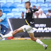 Adam Le Fondre was a huge hit during his spell in Australia with Sydney FC.