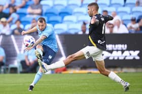 Adam Le Fondre was a huge hit during his spell in Australia with Sydney FC.