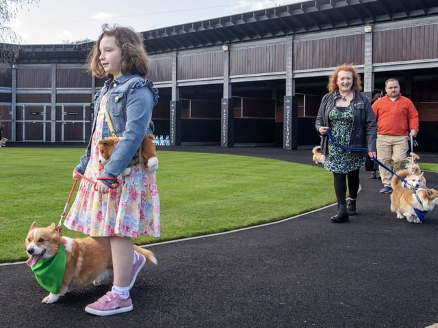 Nine year old Claudia Green from Port Seaton with Paddy, a distant relative of the Queen Elizabeth II's corgis, takes his position on the start line in the Corgi Derby.