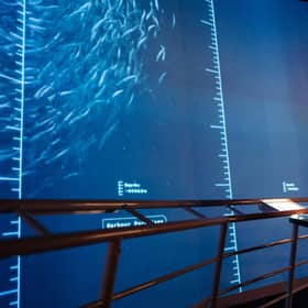 Dynamic Earth's brand-new £1m Discover the Deep exhibition allows visitors to explore what lies far beneath the waves. Picture: Majdanik Photography