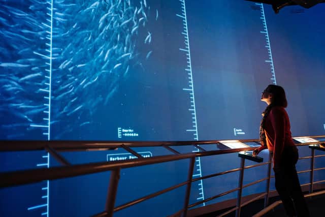 Dynamic Earth's brand-new £1m Discover the Deep exhibition allows visitors to explore what lies far beneath the waves. Picture: Majdanik Photography