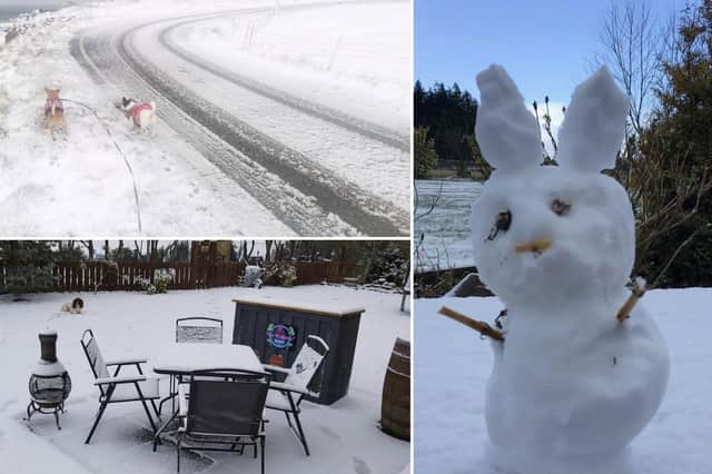 Pictures shared by residents in Scotland as they make the most of the cold weather pictures: SWNS and supplied