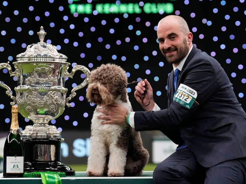 The last Best in Show winner of Crufts, in 2023, was Orca - a Lagotto Romagnolo who had already won the gundog group. He's pictured with handler Javier Gonzalez Mendikote and is owned by Sabina Zdunić Šinković and Ante Lučin from Croatia.