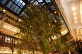The Jenners Christmas Tree was such a highlight of Edinburgh's festive season that there were complaints about the standard of the one in 2018 (Picture: Scott Louden)