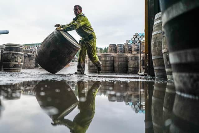 'The future looks brighter, with the tariffs lifted and the pandemic behind us', according to the report (file image). Picture: Peter Summers/Getty Images.