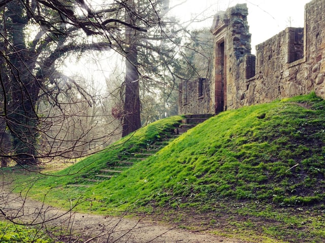 Sitting on the edge of the Capital, the 85-acre Cammo Estate is a country park offering miles of pretty woodland walks, along with a picturesque tower and the atmospheric ruins of Cammo House.