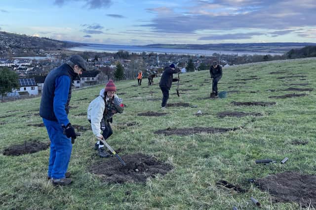 The first of 7,000 native trees have been planted in a new community forest in the Scottish Highlands