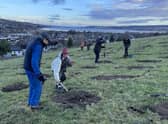 The first of 7,000 native trees have been planted in a new community forest in the Scottish Highlands