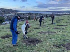 The first of 7,000 native trees have been planted in a new community forest in the Scottish Highlands