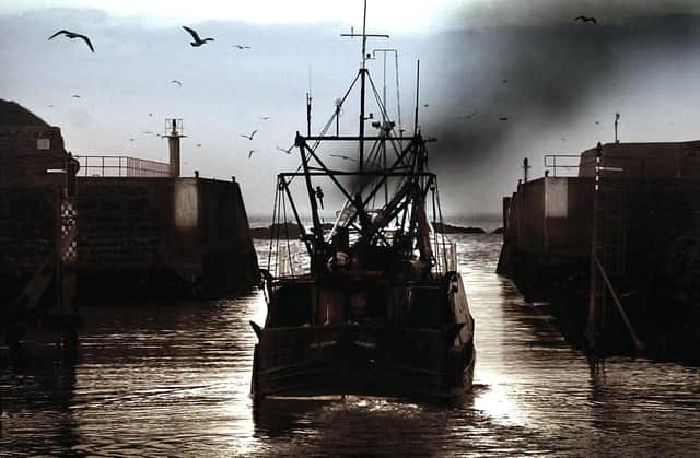 The fishing industry, like all others, needs a can-do attitude towards fighting climate change (Picture: David Cheskin/PA)