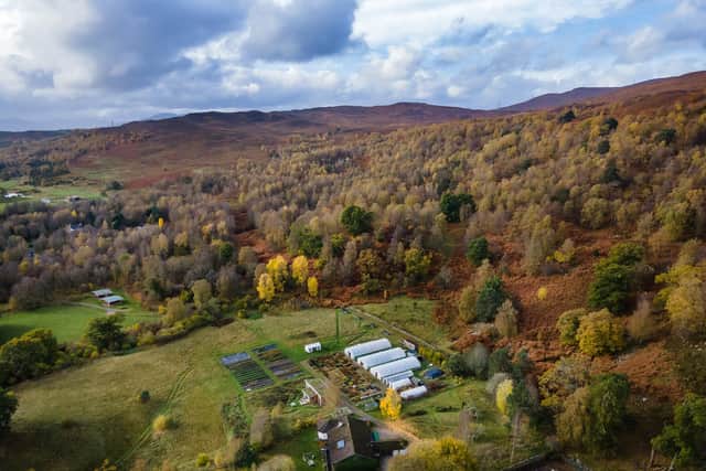 Trees for Life at Dundreggan, where cash raised by carbon sequestration schemes is being shared with the local community in a breakthrough approach to sharing the financial benefits associated with tackling climate change. PIC: Epic Scotland