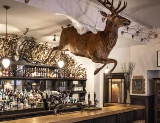 The Flying Stag