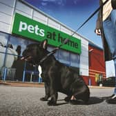 The Pets at Home chain was boosted by a surge in demand for pets among Britons during the coronavirus crisis while its essential status allowed its stores to remain open throughout lockdowns.