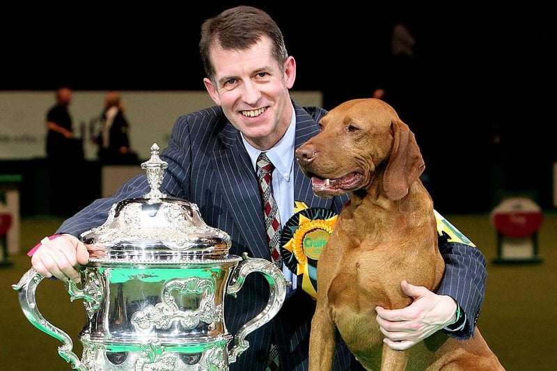 A Hungarian Vizsla called Yogi won the 2010 Best in Show, with a little help from handler John Thirwell.