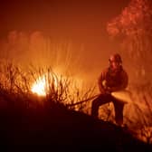 A firefighter battles the Alisal Fire near Goleta, California earlier this month (Picture: David McNew/Getty Images)