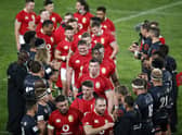 Sharks players form a guard of honour for the British and Irish Lions following the tourists' 54-7 win.