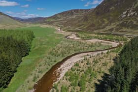 The upper tributary of the Dee, an important spawning ground and nursery for the iconic spring salmon.