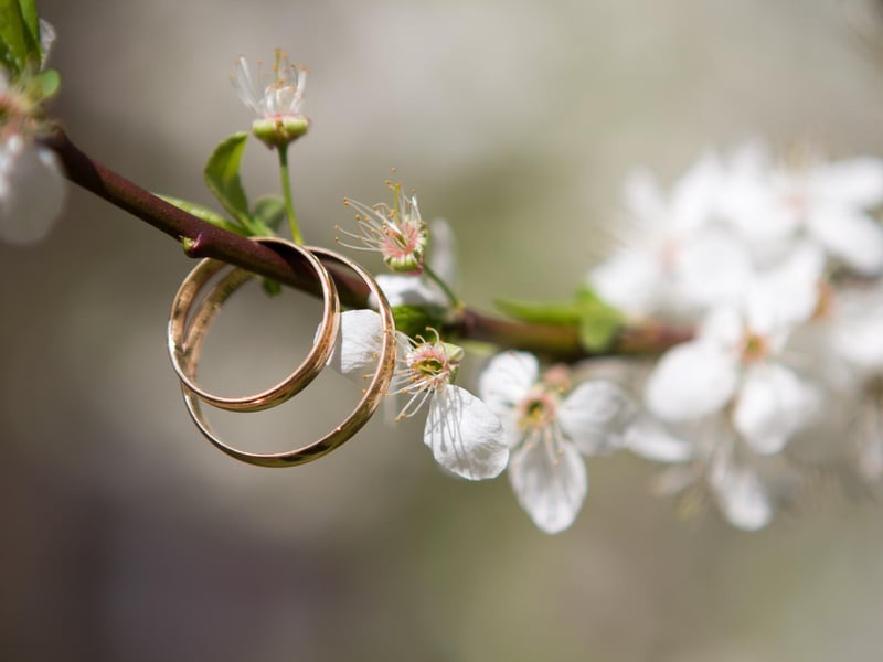 A ring was hidden in a plate of milk and meal with spoons handed out the room. A "vigorous attack" was made on the dish and whoever got the ring would prove to be the first married.