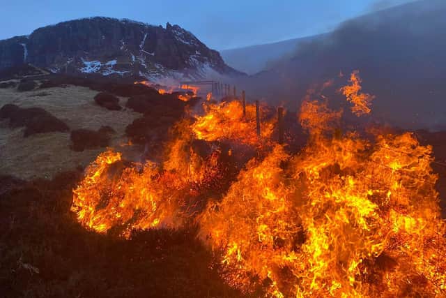 Dramatic pictures show wildfire at Quiraing mountain on the Isle of Skye on Saturday night  picture: Scott J MacLucas-Paton