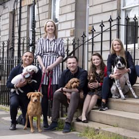 Core-Asset Consulting staff with their dogs
