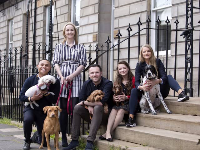 Core-Asset Consulting staff with their dogs