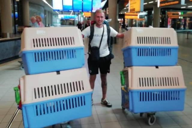 New arrivals in the airport