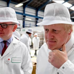 Shortly before resigning, Boris Johnson sacked Michael Gove from the Cabinet, with a No 10 insider referring to Gove as a 'snake' (Picture: Andrew Parsons Pool/Getty Images)