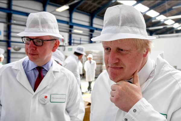 Shortly before resigning, Boris Johnson sacked Michael Gove from the Cabinet, with a No 10 insider referring to Gove as a 'snake' (Picture: Andrew Parsons Pool/Getty Images)