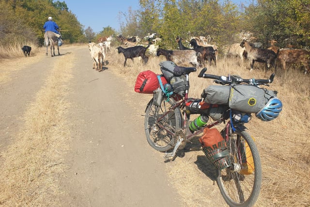 Mike's trusty bike, "Billie", drew the attention of local livestock.