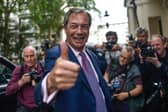 Brexit champion Nigel Farage is not widely regarded as a national hero (Picture: Peter Summers/Getty Images)
