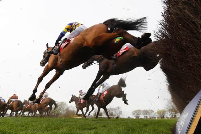 The Cheltenham Festival gets underway this week. Picture: Mike Hewitt/Getty Images