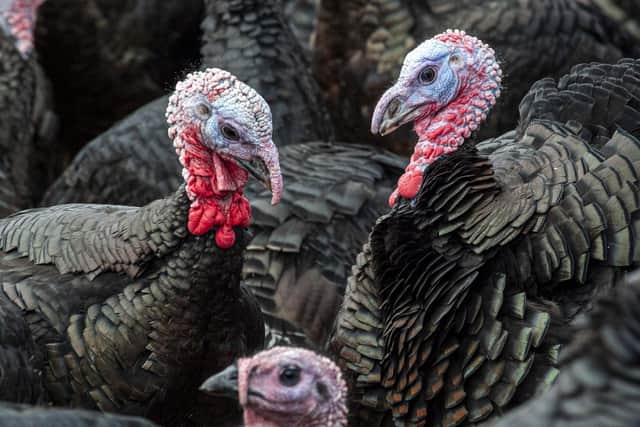 There are fears of turkey shortages