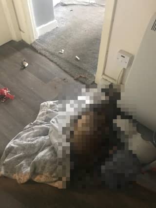 A Clydebank woman was given a six-year ban on owning animals following an Scottish SPCA investigation. Photo: Scottish SPCA