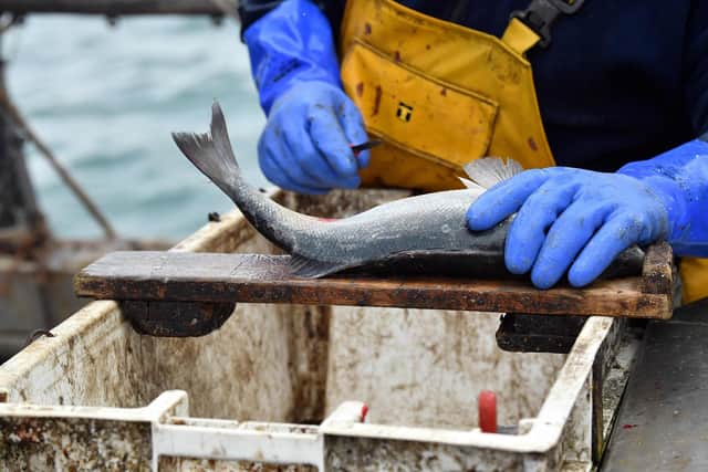 Fishing boat skipper Neil Whitney sorts fish after the first trawl of the day. Picture: Glyn Kirk/AFP via Getty Images