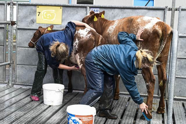 The announcement comes as the agriculture sector descends on Edinburgh for the annual Royal Highland Show (pic: Lisa Ferguson)