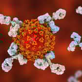 UK study looked into how much protection the human body produces after natural Covid infection. (Pic: Shutterstock)