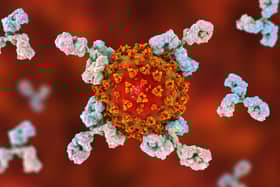 UK study looked into how much protection the human body produces after natural Covid infection. (Pic: Shutterstock)