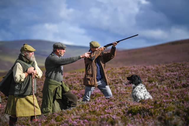 In its current format, the Wildlife Management and Muirburn (Scotland) Bill will impede vital work carried out in the Scottish uplands (Picture: Jeff J Mitchell/Getty Images)