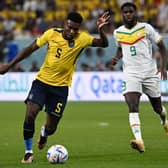 Rangers target Jose Cifuentes in action for Ecuador against Senegal at the Qatar 2022 World Cup. (Photo by OZAN KOSE/AFP via Getty Images)
