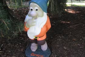 Bashful has disappeared from his spot in Craigtoun Park's Japanese Garden.
