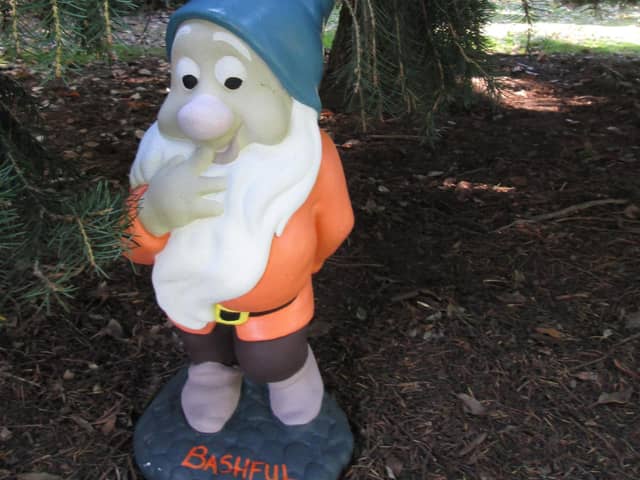 Bashful has disappeared from his spot in Craigtoun Park's Japanese Garden.